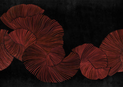 Diving moment Red | Coordone Europe