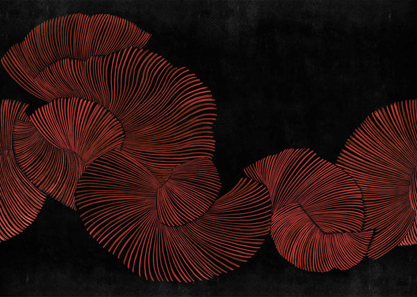 Diving moment Red | Coordone Europe