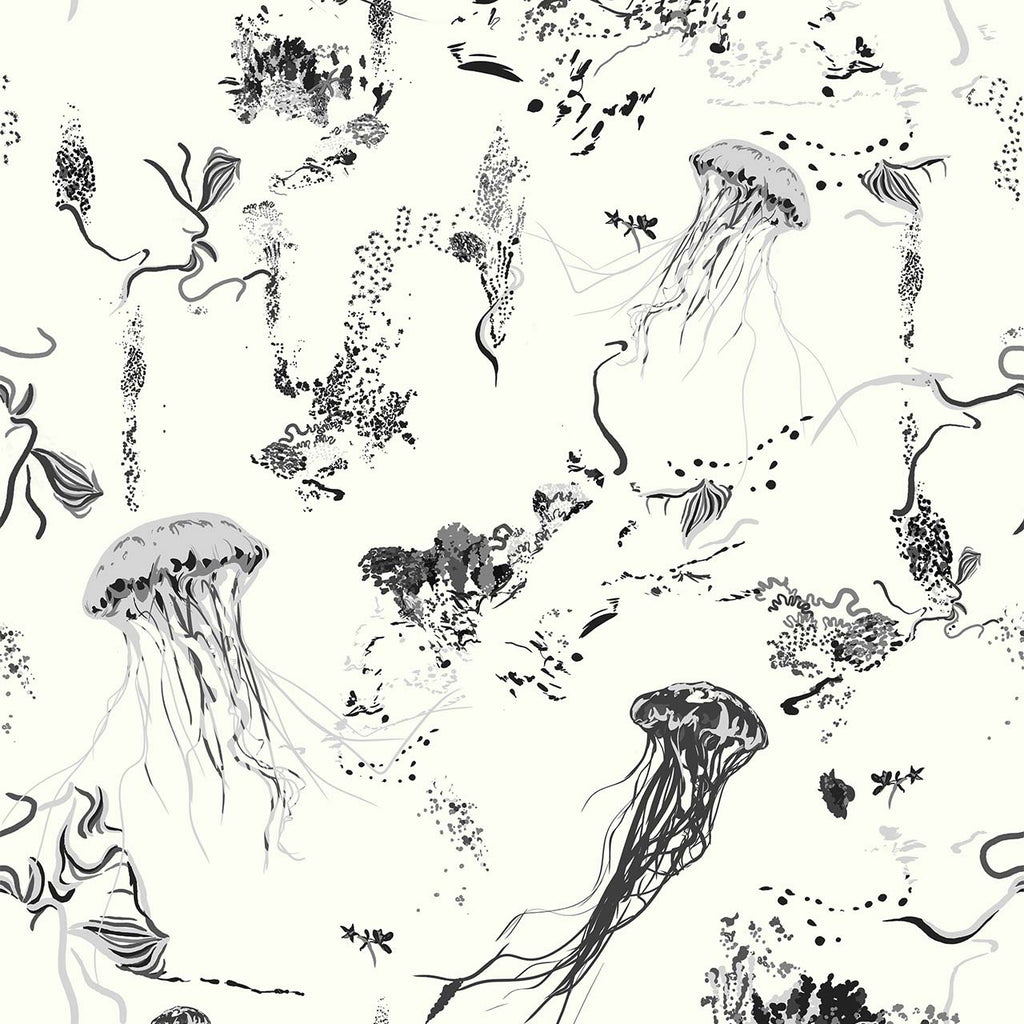 Jellyfish Ivory, Ivory