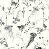 Jellyfish Ivory, Ivory