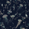 Jellyfish Navy, Navy
