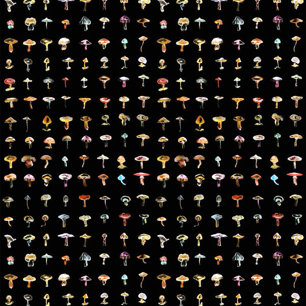 Forager Black, Black Wallcoverings | Newwall