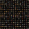 Forager Black, Black