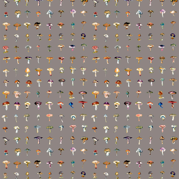 Forager Warm Grey, Warm Grey Wallcoverings | Newwall