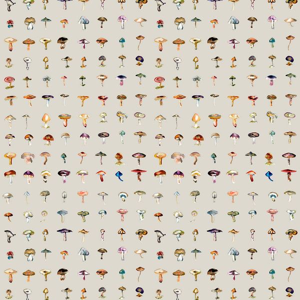 Forager Stone, Stone Wallcoverings | Newwall