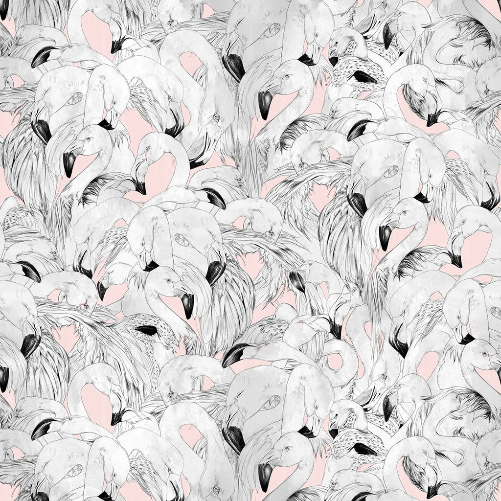 Flamingo Pink, Pink