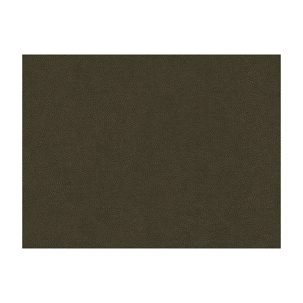 Samples and Purchasing available for Abilene - Stallion Expresso By Kravet Contract |  | Animal Skins Upholstery Vinyl/Faux Leather at Designer Wallcoverings and Fabrics