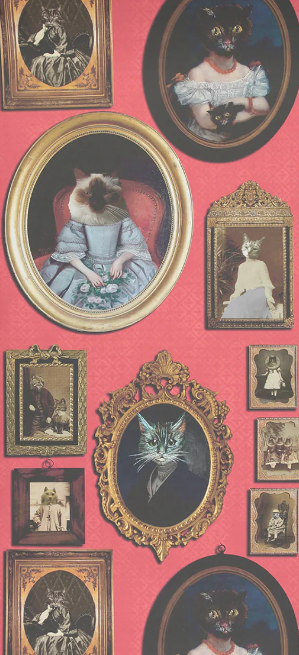 Cavalcade Of Cats Red Wallcovering | Graduate Collection