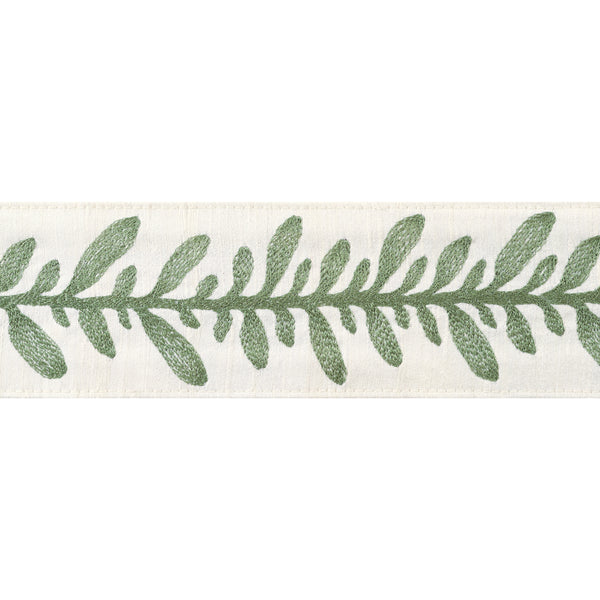 Calathea Tape Tapes & Trims – Juniper Fabric | Thibaut