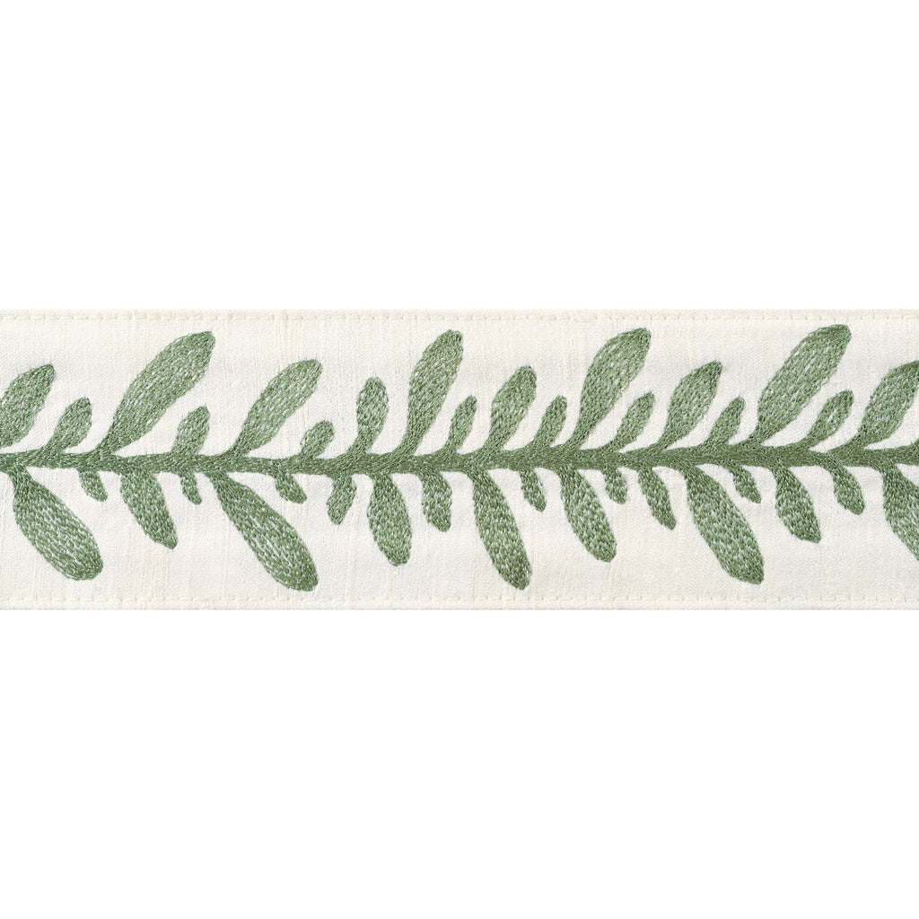 Calathea Tape Tapes & Trims – Juniper Fabric | Thibaut