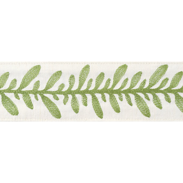 Calathea Tape Tapes &amp; Trims – Spring Fabric | Thibaut