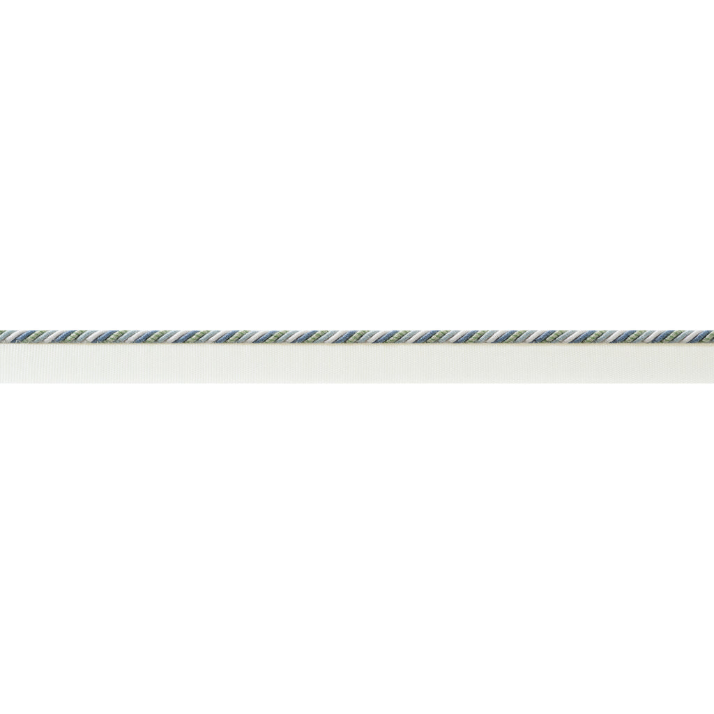 Maren Cord Tapes & Trims – Mallard and Sage Fabric | Thibaut
