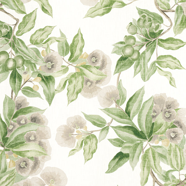 Camellia Garden - Spring on White Wallcovering | Thibaut