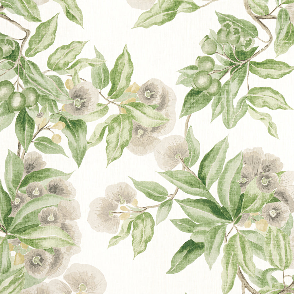 Camellia Garden - Spring on White Wallcovering | Thibaut