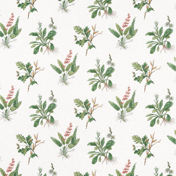 Woodland Fabric – Green and Blush | Anna French