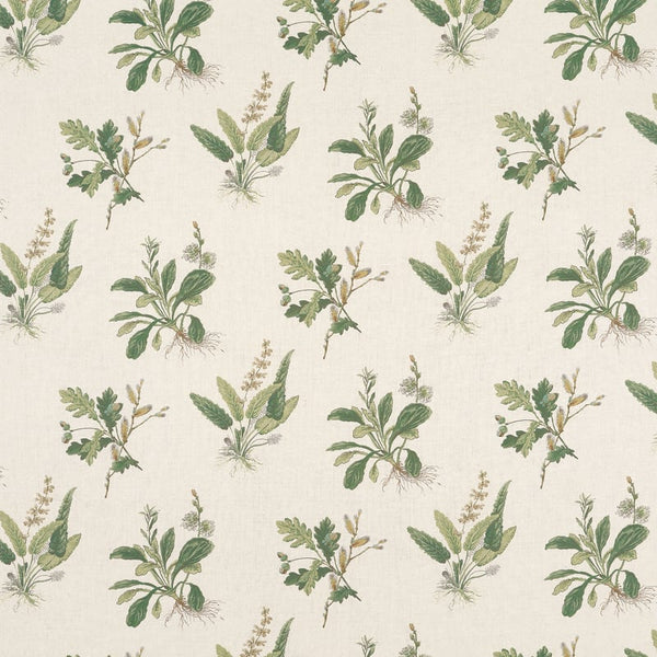 Woodland Fabric – Green on Natural | Anna French