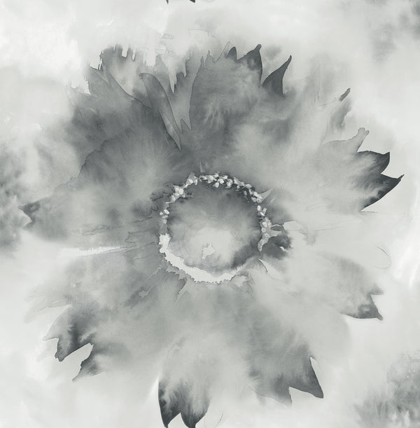 Watercolor Sunflower Contemporary Floral - Metallic Silver & Charcoal | Architectural Wallcoverings