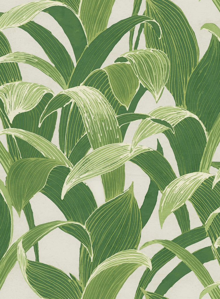 Malibu Imperial Banana Groves Wallpaper - Traditional Botanical - Metallic Pearl and Forest Green | Malibu Wallpaper