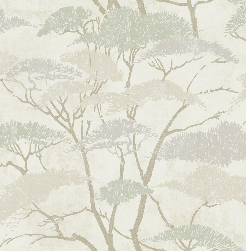 Malibu Confucius Tree Wallpaper - Traditional Botanical - Silver and Pearl | Malibu Wallpaper
