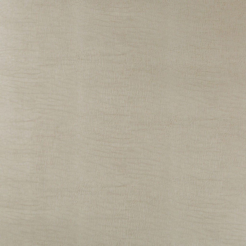 Samples and Purchasing available for Kravet Design - Aladar-11 Light Grey By Kravet Design |  |  Upholstery Vinyl/Faux Leather at Designer Wallcoverings and Fabrics