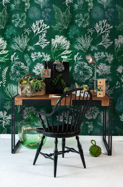 Algae Moss - White, Green, Turquoise Wallcovering | Mind the Gap