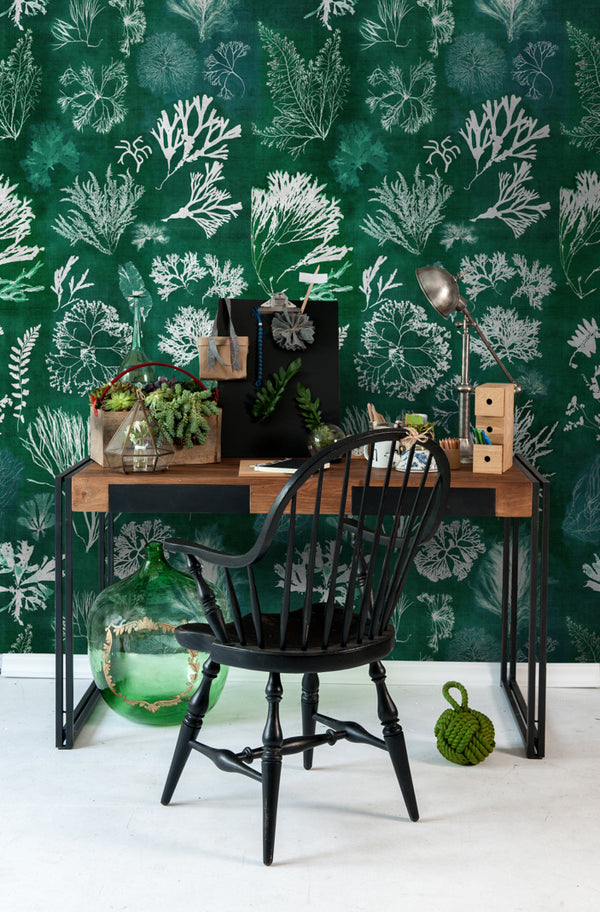 Algae Moss - White, Green, Turquoise Wallcovering | Mind the Gap