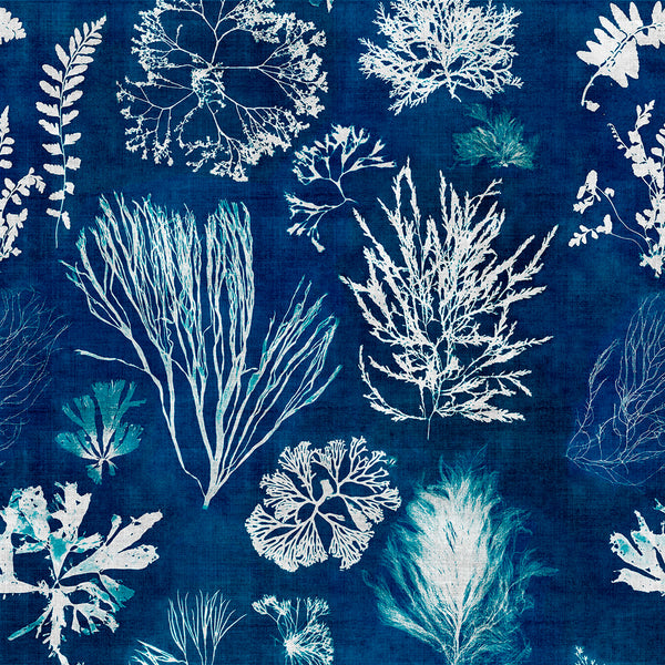 Algae in - Blue Wallcovering | Mind the Gap