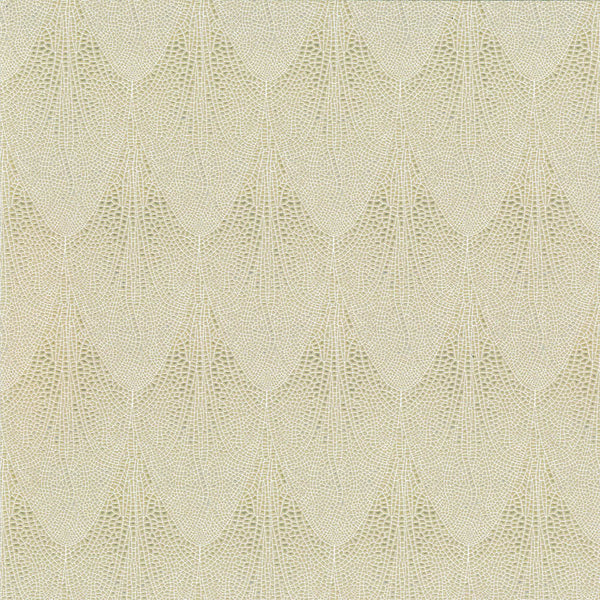 La Roma Skimmer Wallpaper | Phillipe Romano