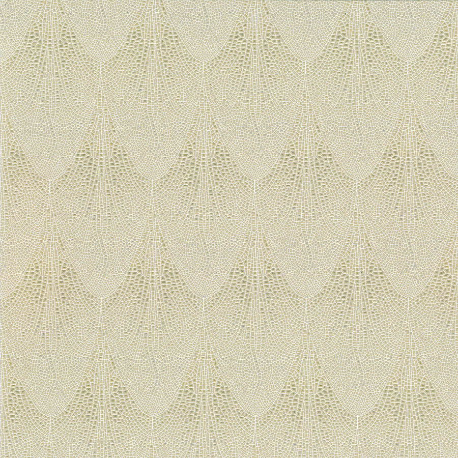 La Roma Skimmer Wallpaper | Phillipe Romano