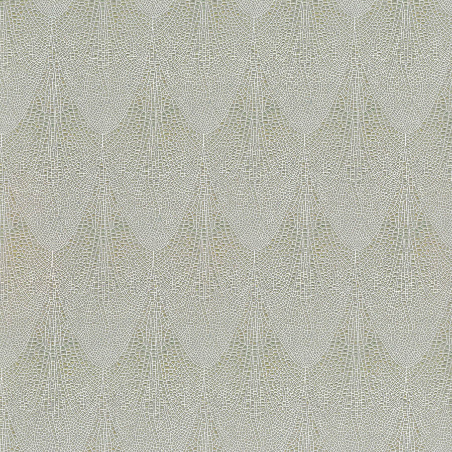 La Roma Dobson Wallpaper | Phillipe Romano