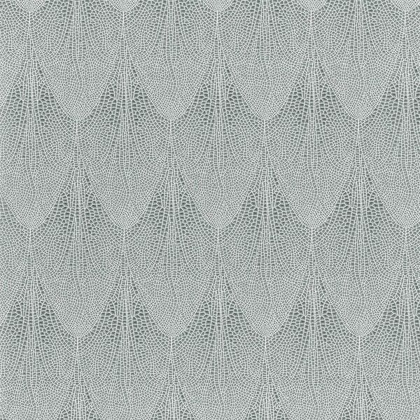 La Roma Meadowhawk Wallpaper | Phillipe Romano