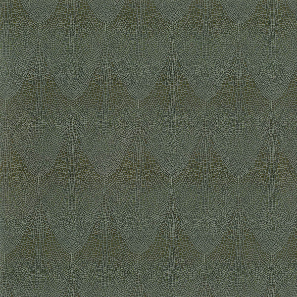 La Roma Amberwing Wallpaper | Phillipe Romano