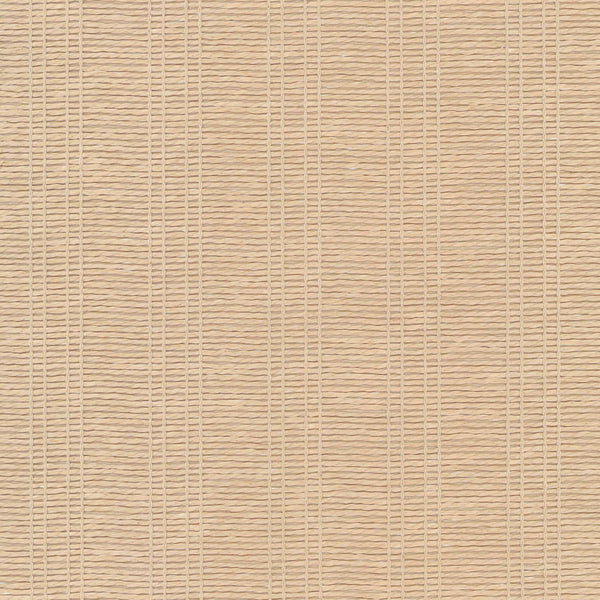 Le Florinda Seashell Natural | Phillipe Romano
