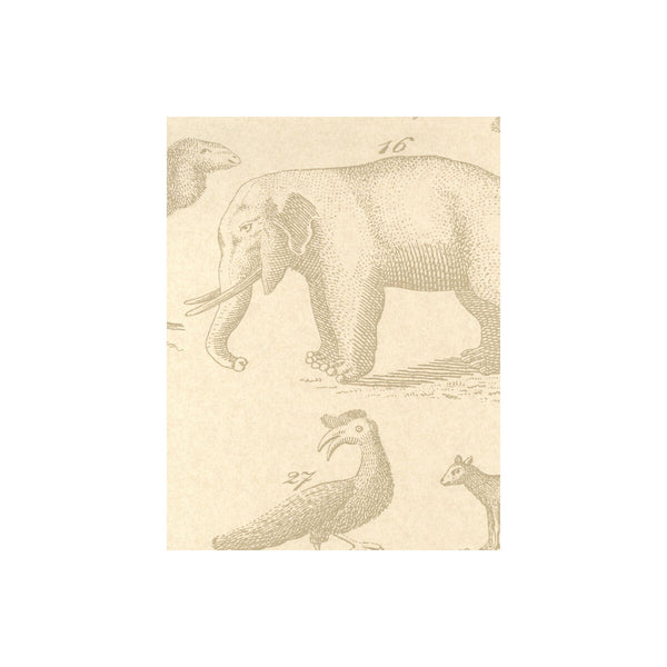 Ark - Sand Beige | Kravet Couture | Andrew Martin Museum | Modern Wallcovering Print