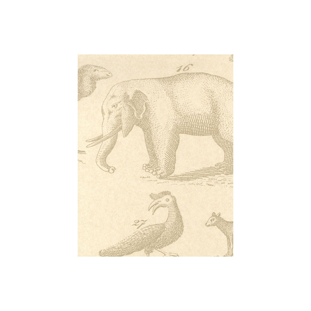 Ark - Sand Beige | Kravet Couture | Andrew Martin Museum | Modern Wallcovering Print