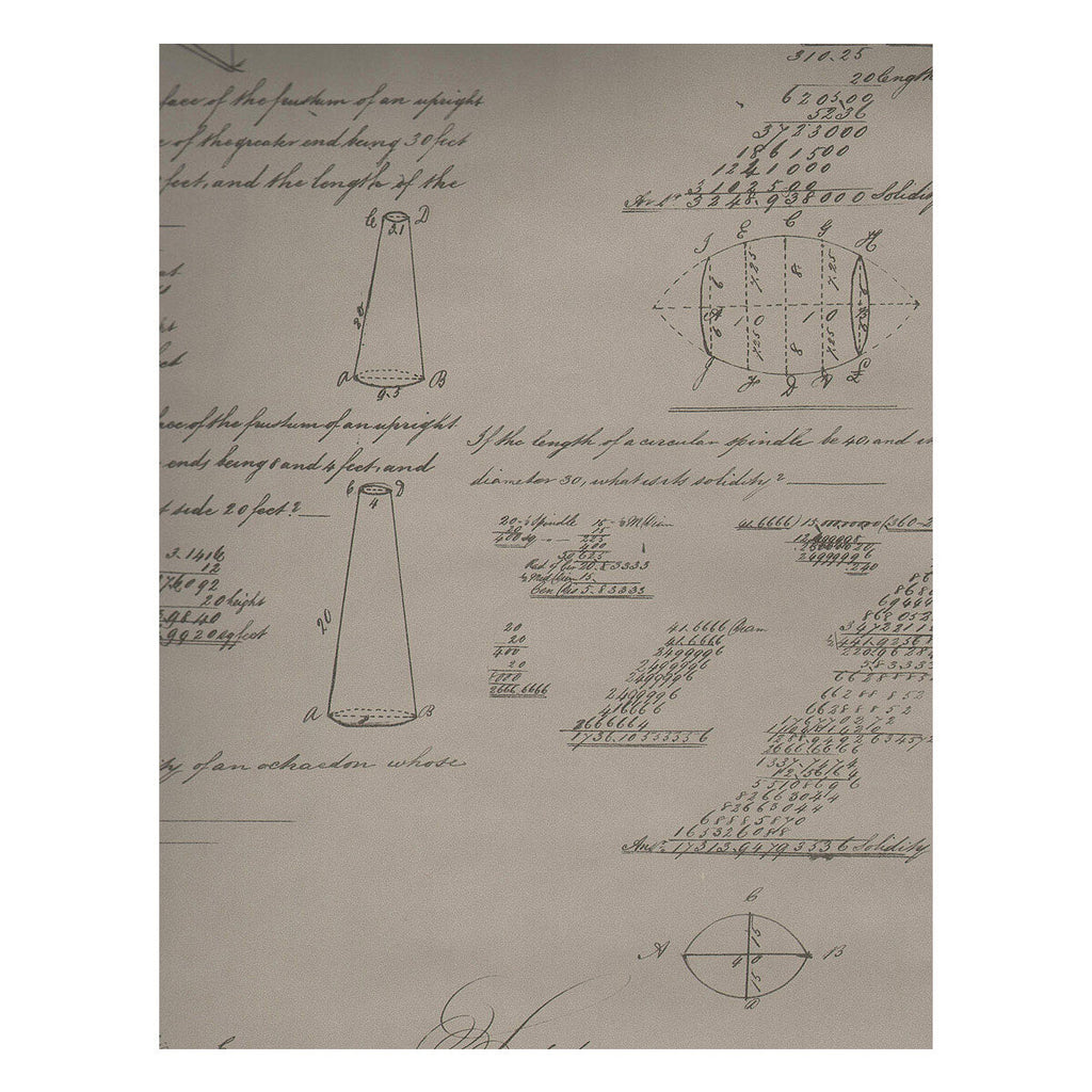 Pythagoras - Taupe | Kravet Couture | Andrew Martin Navigator | Novelty Wallcovering Print
