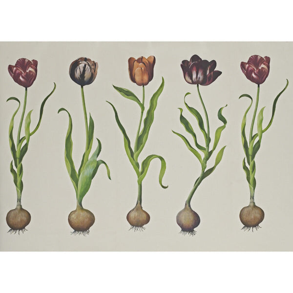 Tulips - 310 White | Kravet Couture | Andrew Martin Scholar | Botanical & Floral Wallpaper Print
