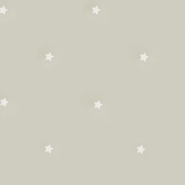 Souk - Pebble Light Grey | Kravet Couture | Andrew Martin Casablanca | Novelty Wallcovering Print