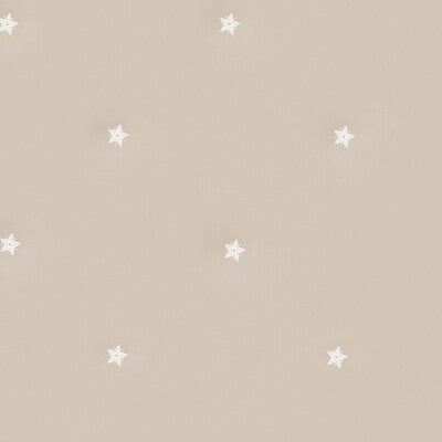 Souk - Plaster Pink | Kravet Couture | Andrew Martin Casablanca | Novelty Wallcovering Print