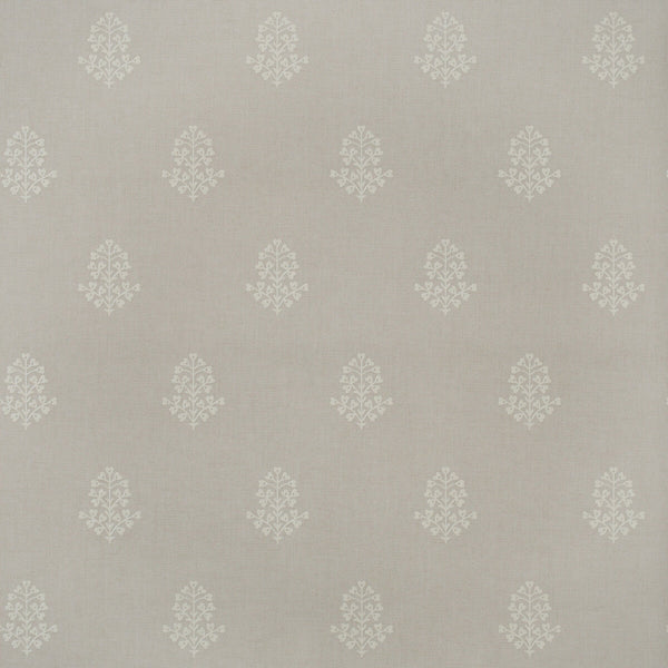 Cow Parsley - Marl Grey | Kravet Couture | Andrew Martin Arboretum | Botanical & Floral Wallcovering Print