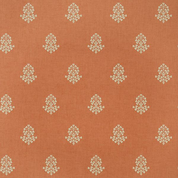 Cow Parsley - Clementine Orange | Kravet Couture | Andrew Martin Arboretum | Botanical & Floral Wallcovering Print