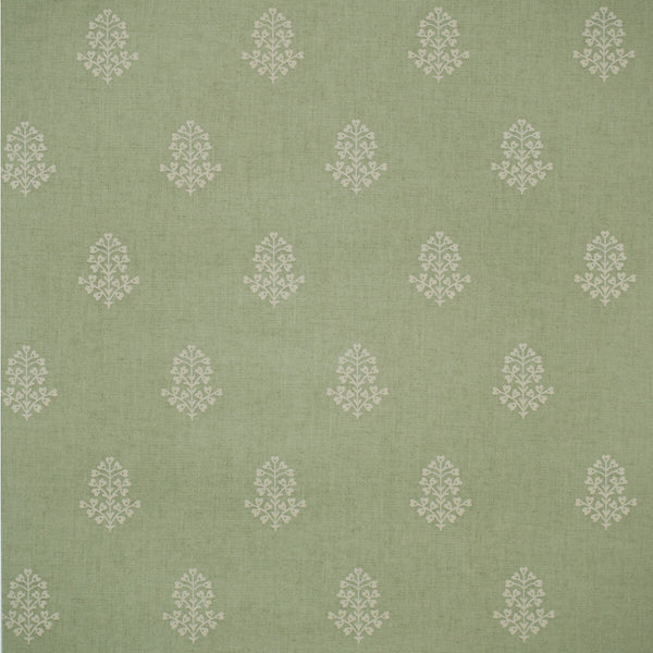 Cow Parsley - Leaf Green | Kravet Couture | Andrew Martin Arboretum | Botanical & Floral Wallcovering Print