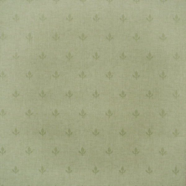 Crocus - Leaf Green | Kravet Couture | Andrew Martin Arboretum | Botanical & Floral Wallcovering Print