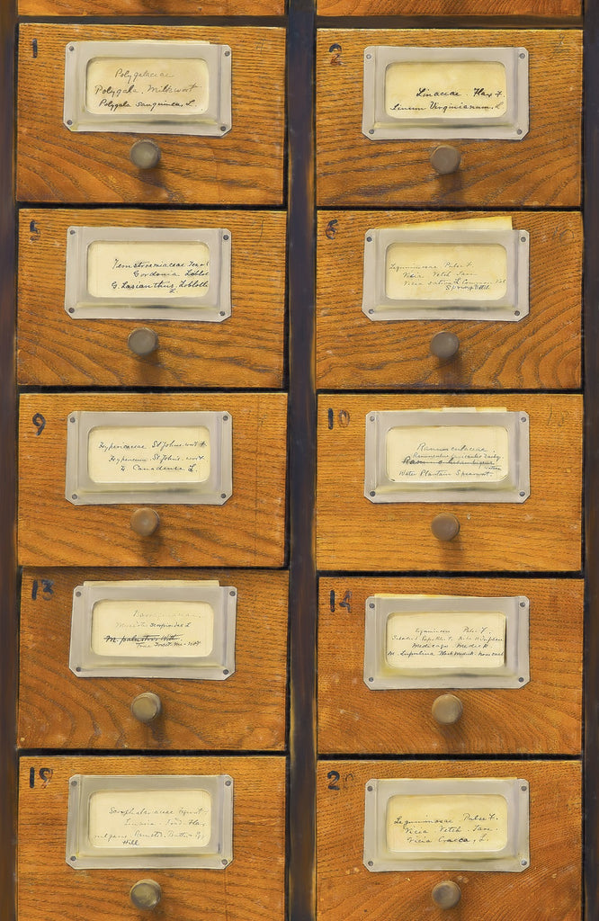 Apothecary Wallpaper | Mind The Gap