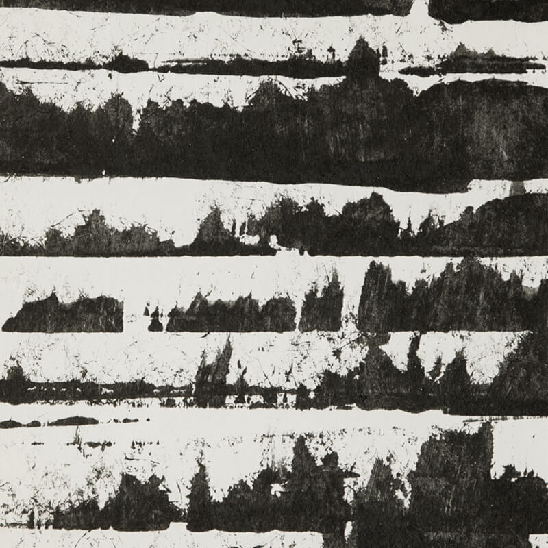 Aravalli Dinaric