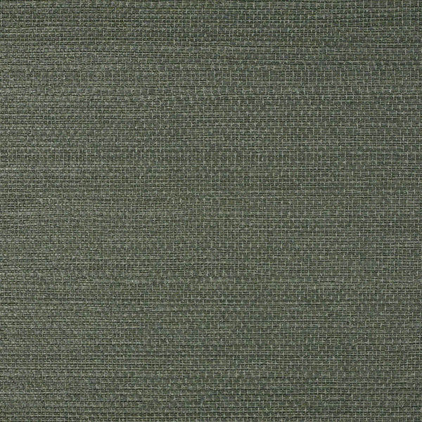 Le Martino Velvet Bean Wallpaper | Phillipe Romano