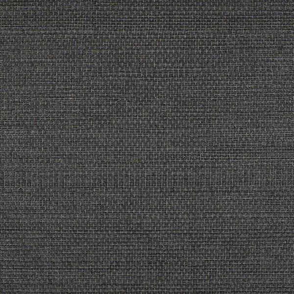Le Martino Costus Type 2 | Phillipe Romano