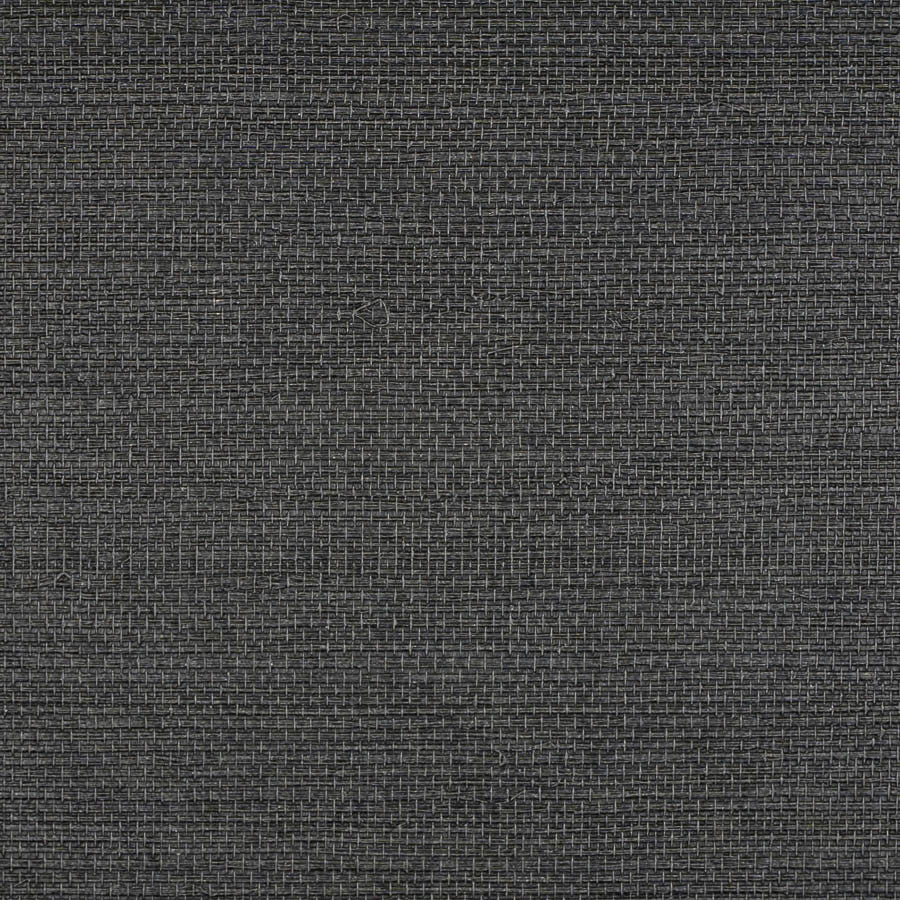 Le Martino Costus Wallpaper | Phillipe Romano