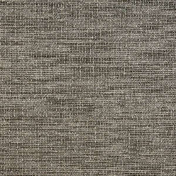 Le Martino Hibiscus Wallpaper | Phillipe Romano