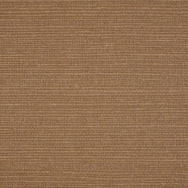 Le Martino Daylily Wallpaper | Phillipe Romano